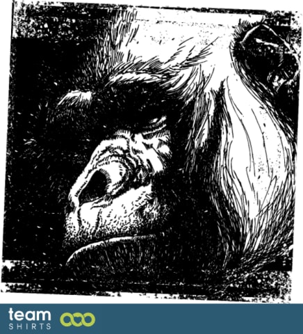 gorilla
