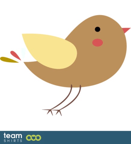 little bird