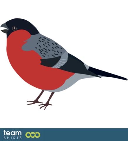bullfinch