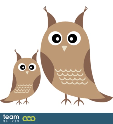 owl