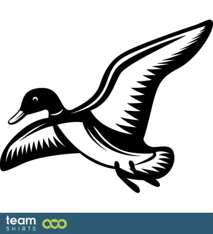 Flying duck