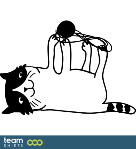 playing cat