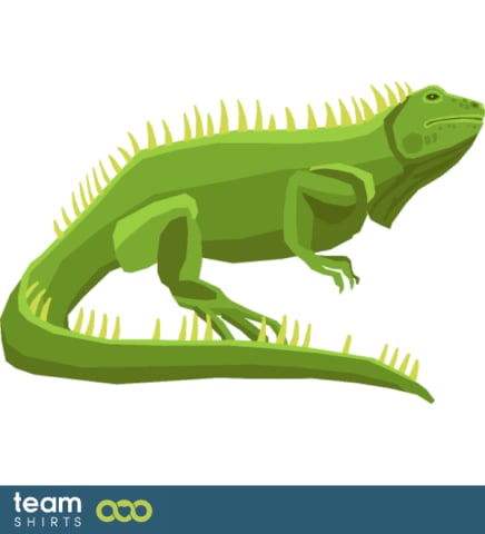 iguana