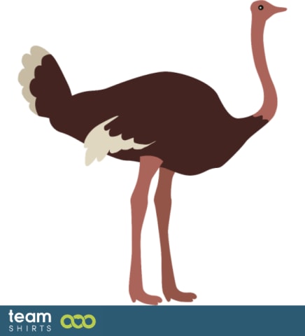 ostrich