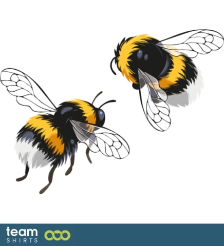 Bees