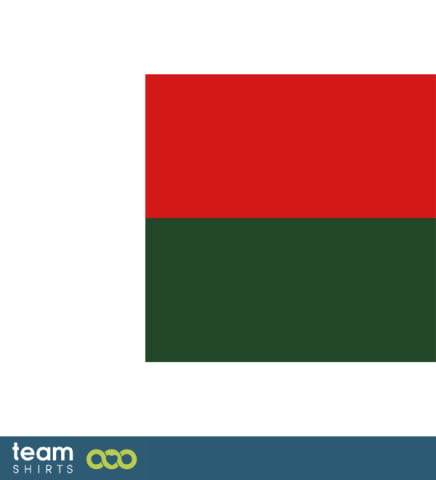 flag madagascar