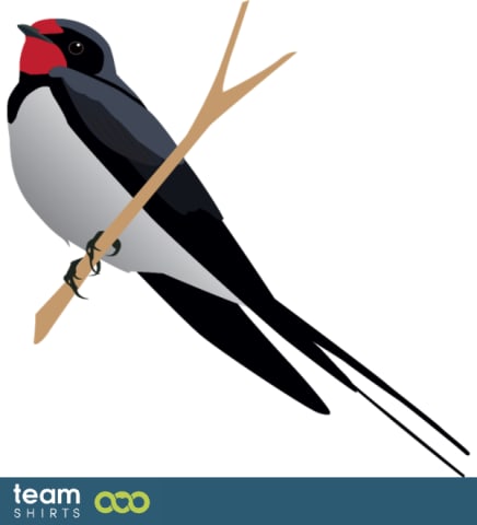 swallow