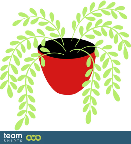 indoor plant