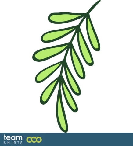 branch