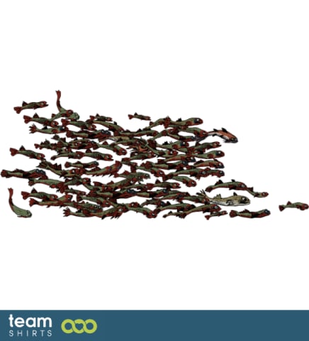 large shoal of fish