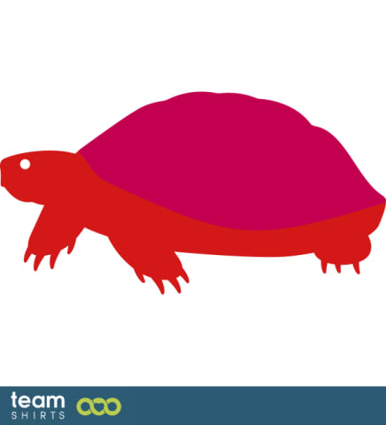 Schildkröte