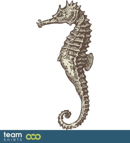 Sea Horse