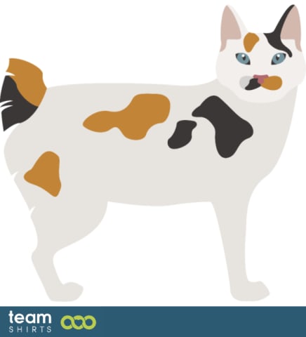 Vectorstock 10333441JapaneseBobtailpng0689