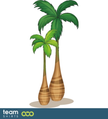 palmtree
