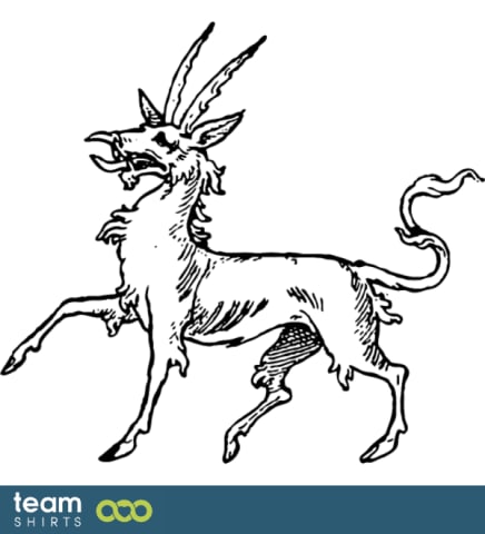Zodiac capricorn