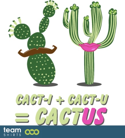 johw Valentinestag CactUS