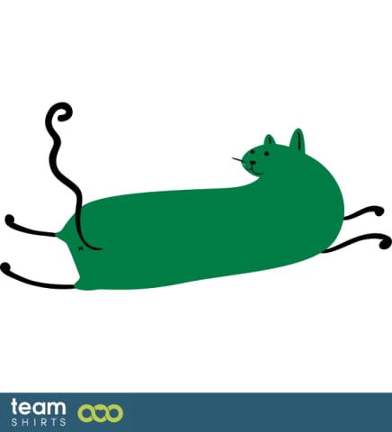 flying cat