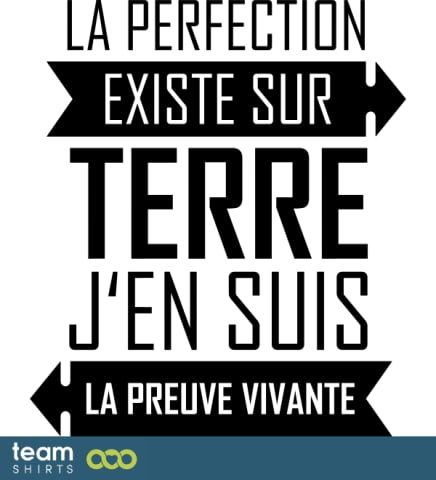 Perfection 3