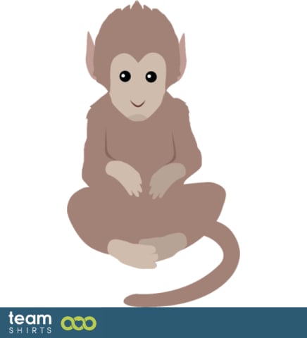 monkey