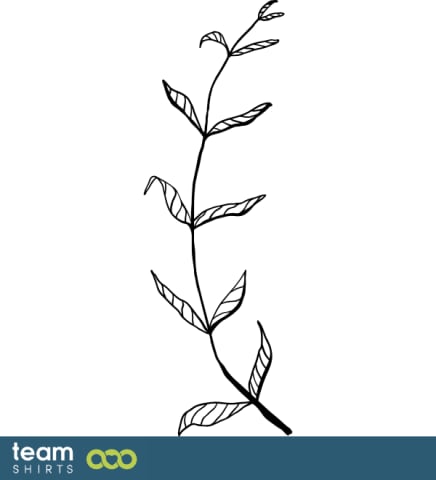 Branch