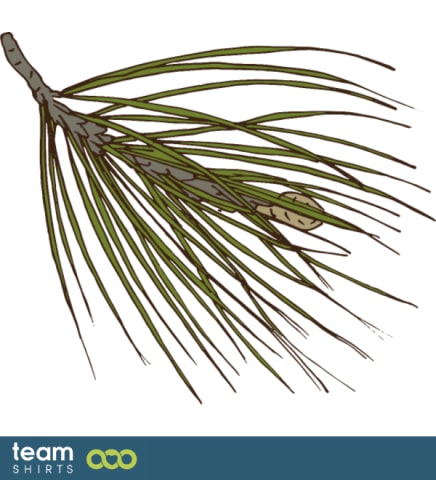 pine branch