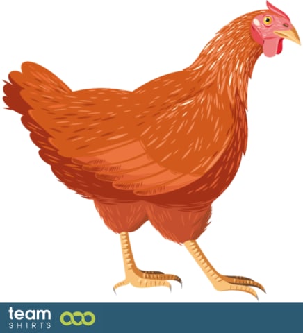 Realistic chicken