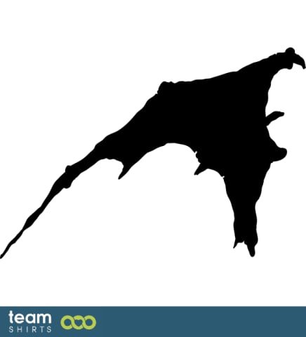 Bat Wing