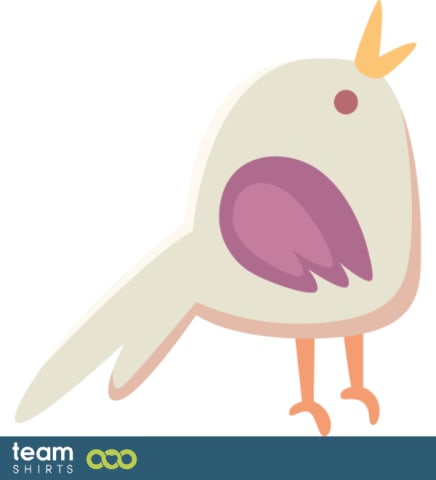 little bird