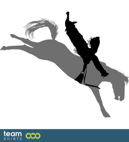 horse cowboy