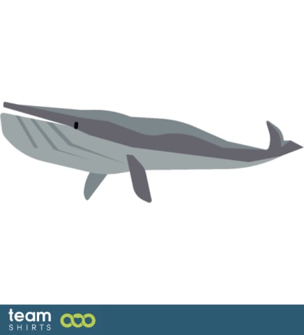 Blue Whale