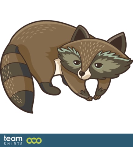 raccoon