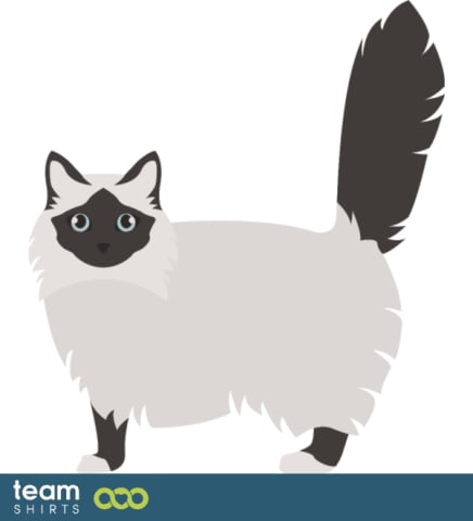 02 cat vectorstock 10334020