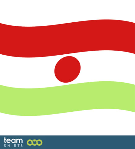 flag niger