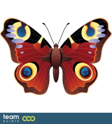 European peacock