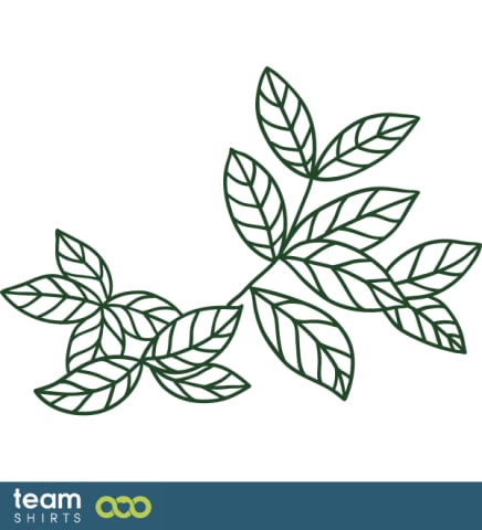 grass plant
