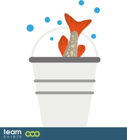 fish in a bucket