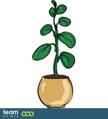 indoor plant