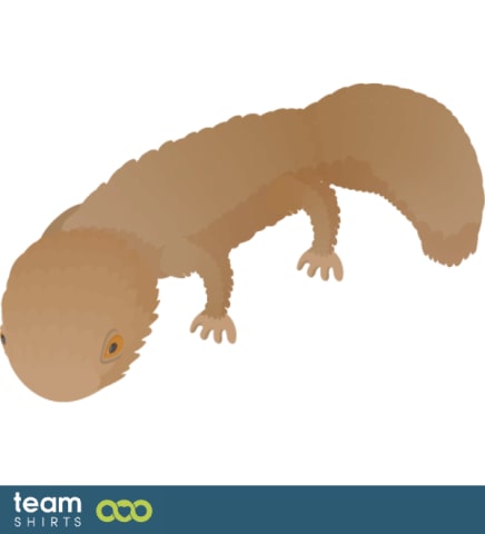Lizard