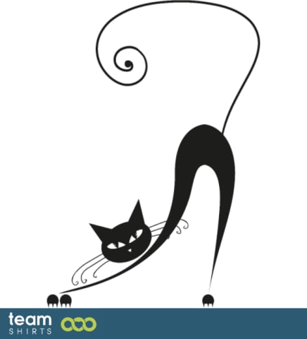 stretching cat