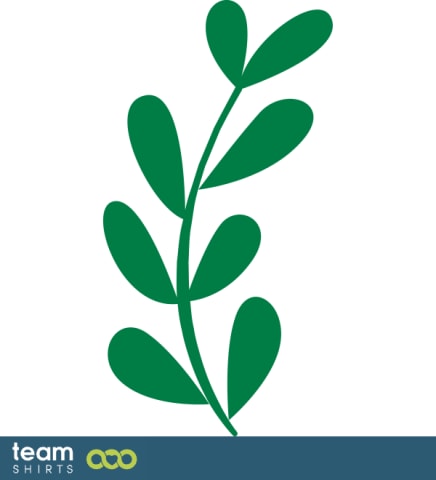 branch