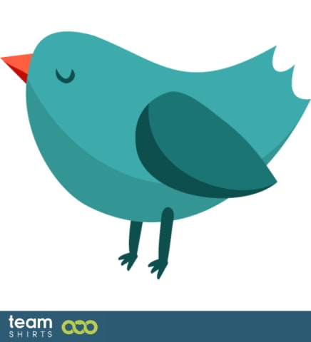 little bird