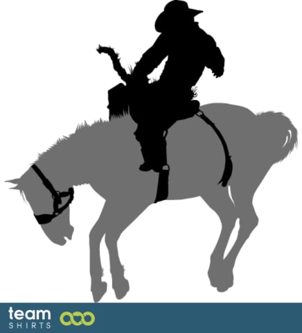 horse cowboy
