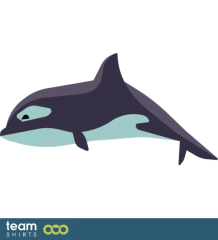 Orca Whale
