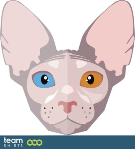 sphynx
