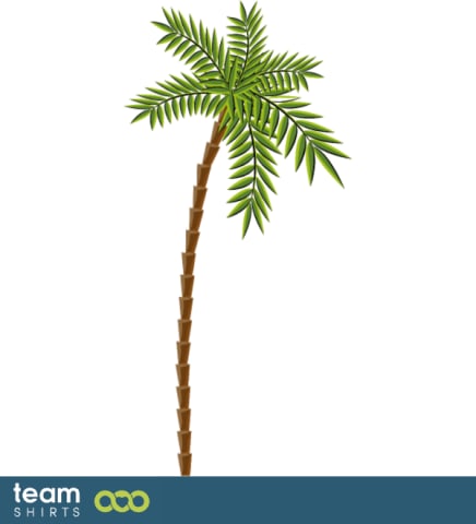 palmtree