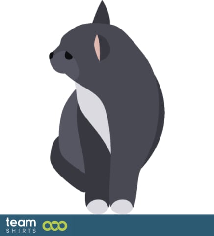 grey cat