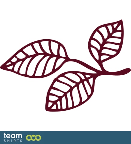 Box Elder leaf