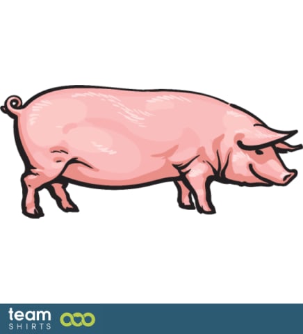 pig