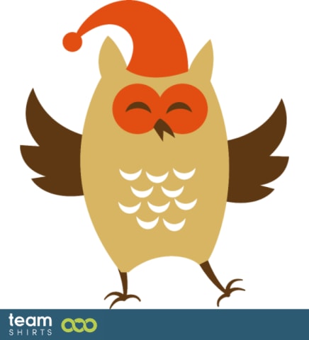 Christmas Owl