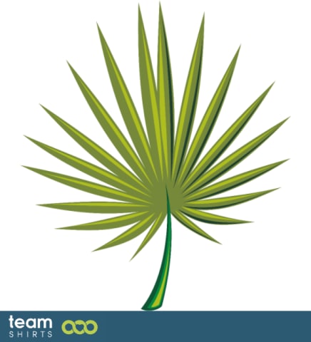 palm leaf
